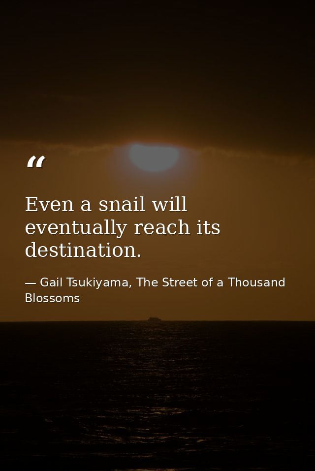Even a snail will eventually reach its destination. — Gail Tsukiyama, The Street of a Thousand Blossoms