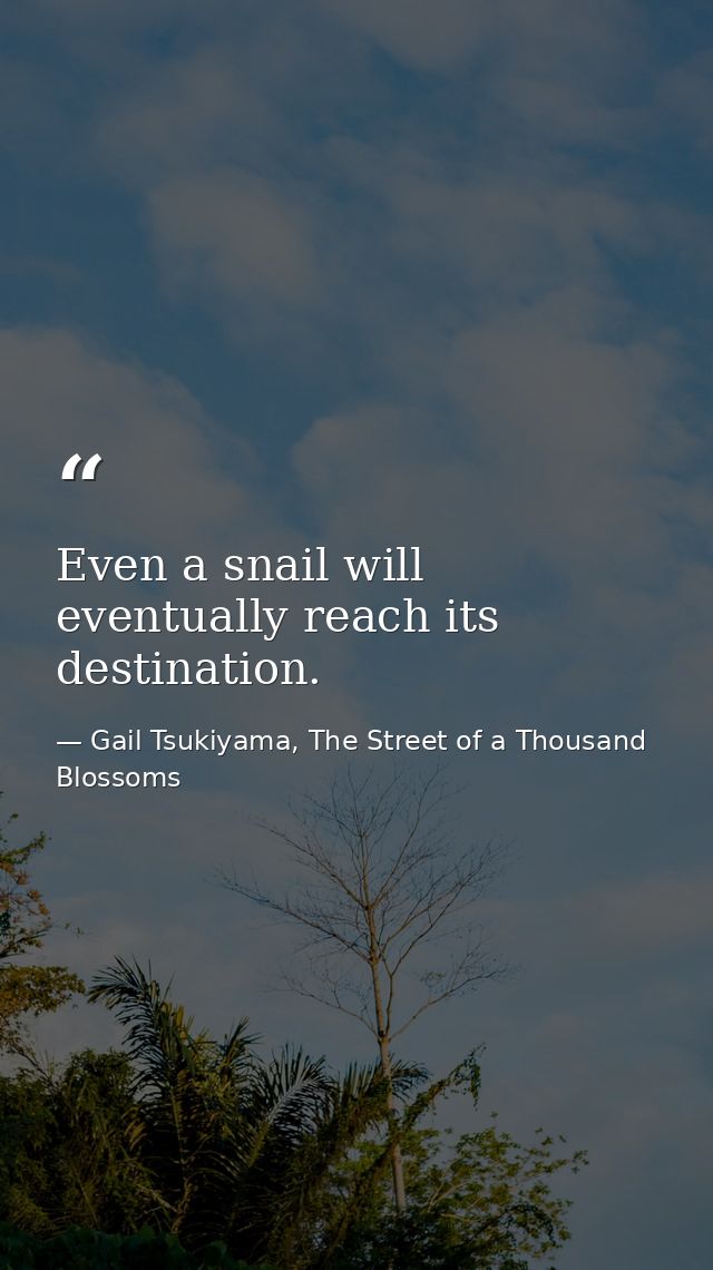 Even a snail will eventually reach its destination. — Gail Tsukiyama, The Street of a Thousand Blossoms