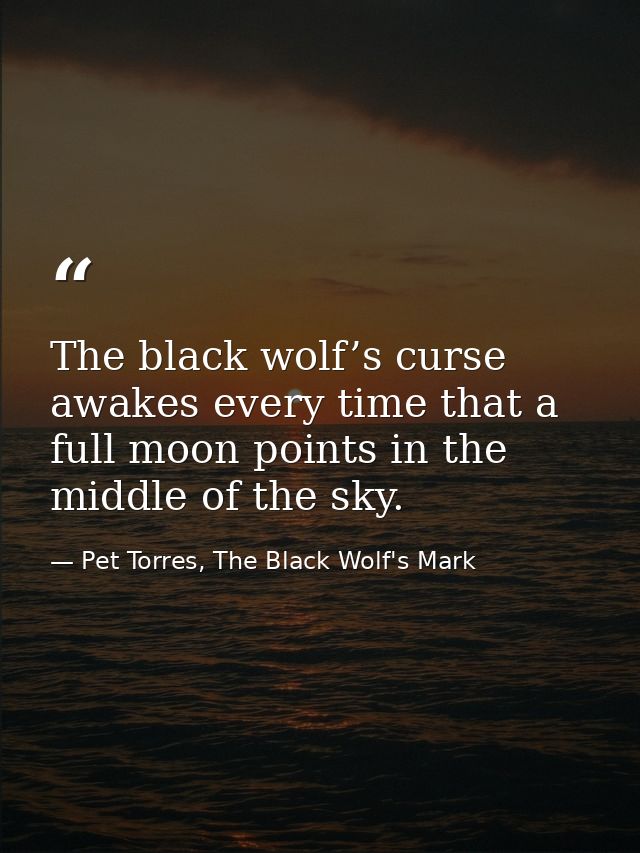 The black wolf’s curse awakes every time that a full moon points in the middle of the sky. — Pet Torres, The Black Wolf's Mark