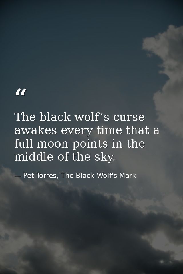 The black wolf’s curse awakes every time that a full moon points in the middle of the sky. — Pet Torres, The Black Wolf's Mark