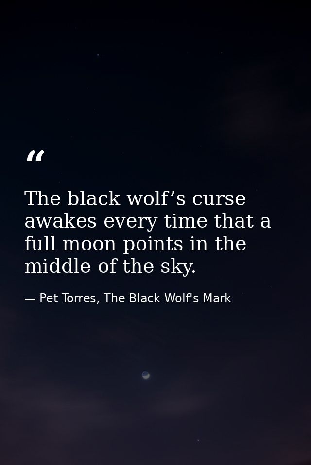 The black wolf’s curse awakes every time that a full moon points in the middle of the sky. — Pet Torres, The Black Wolf's Mark