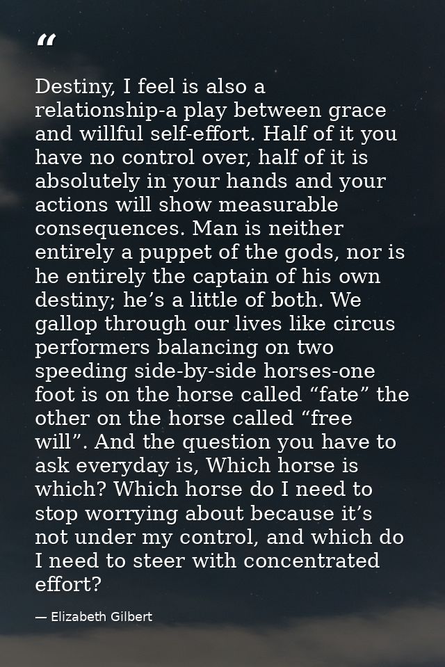 Destiny, I feel is also a relationship-a play between grace and willful self-effort. Half of it you have no control over — Elizabeth Gilbert
