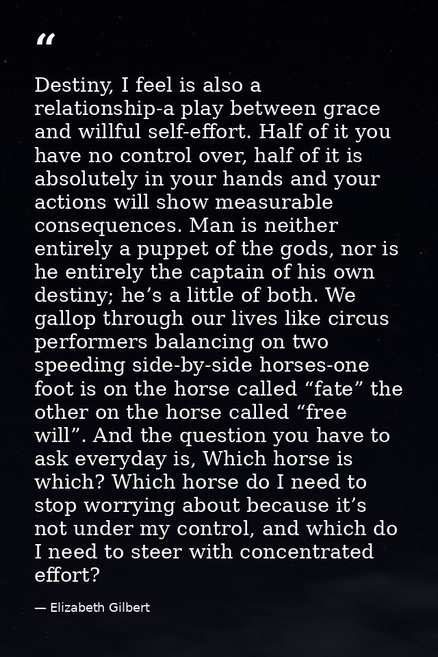 Destiny, I feel is also a relationship-a play between grace and willful self-effort. Half of it you have no control over — Elizabeth Gilbert