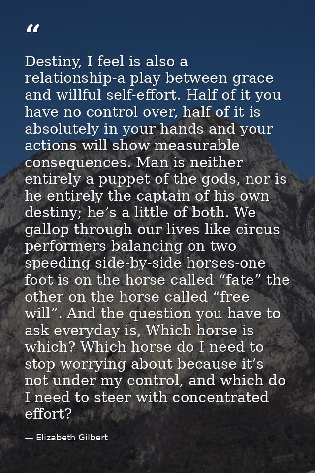 Destiny, I feel is also a relationship-a play between grace and willful self-effort. Half of it you have no control over — Elizabeth Gilbert