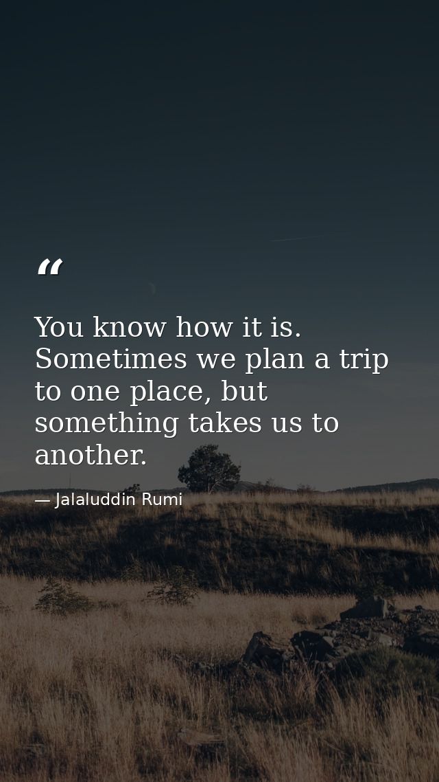 You know how it is. Sometimes we plan a trip to one place, but something takes us to another. — Jalaluddin Rumi