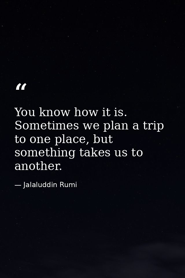 You know how it is. Sometimes we plan a trip to one place, but something takes us to another. — Jalaluddin Rumi