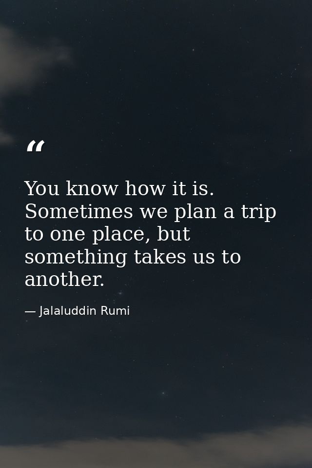 You know how it is. Sometimes we plan a trip to one place, but something takes us to another. — Jalaluddin Rumi