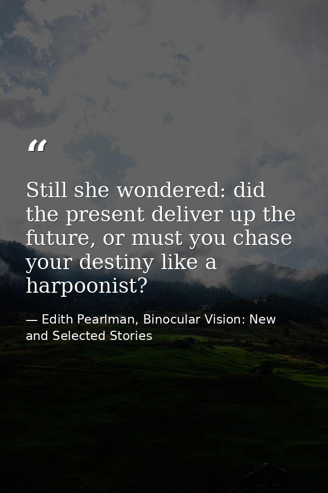 Still she wondered: did the present deliver up the future, or must you chase your destiny like a harpoonist? — Edith Pearlman, Binocular Vision: New and Selected Stories