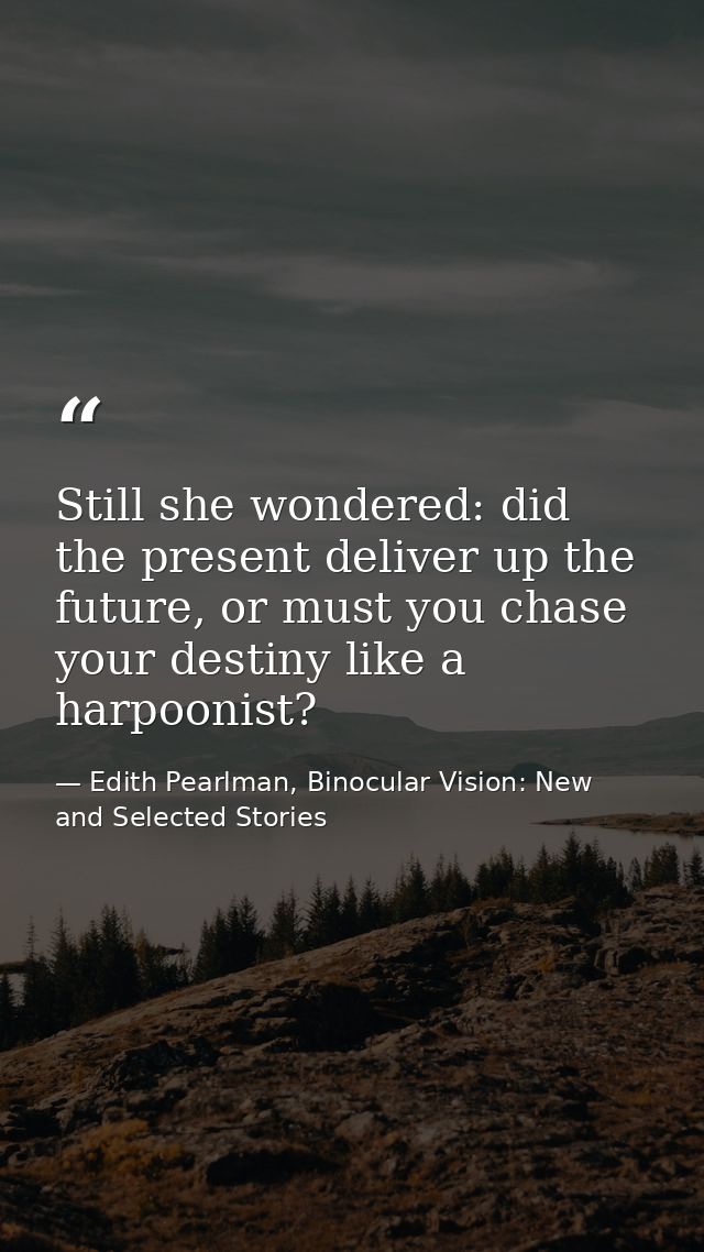 Still she wondered: did the present deliver up the future, or must you chase your destiny like a harpoonist? — Edith Pearlman, Binocular Vision: New and Selected Stories