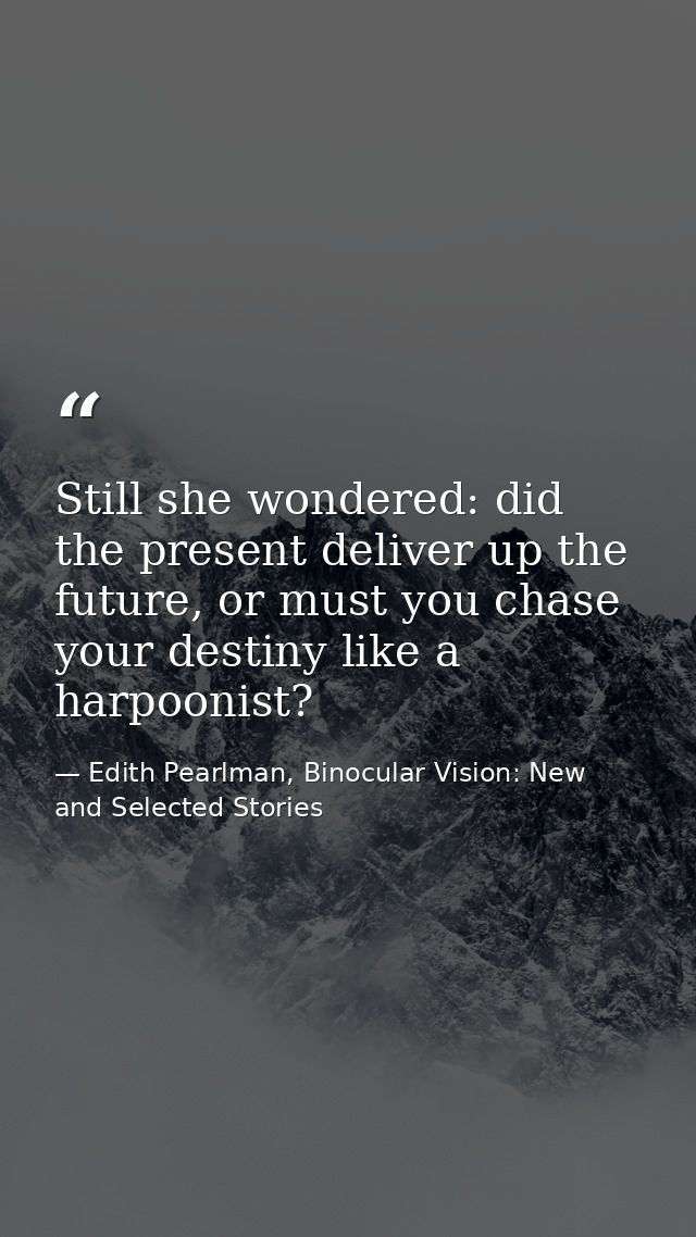 Still she wondered: did the present deliver up the future, or must you chase your destiny like a harpoonist? — Edith Pearlman, Binocular Vision: New and Selected Stories