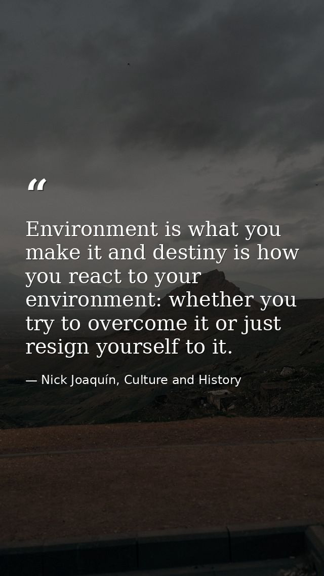 Environment is what you make it and destiny is how you react to your environment: whether you try to overcome it or just — Nick Joaquín, Culture and History