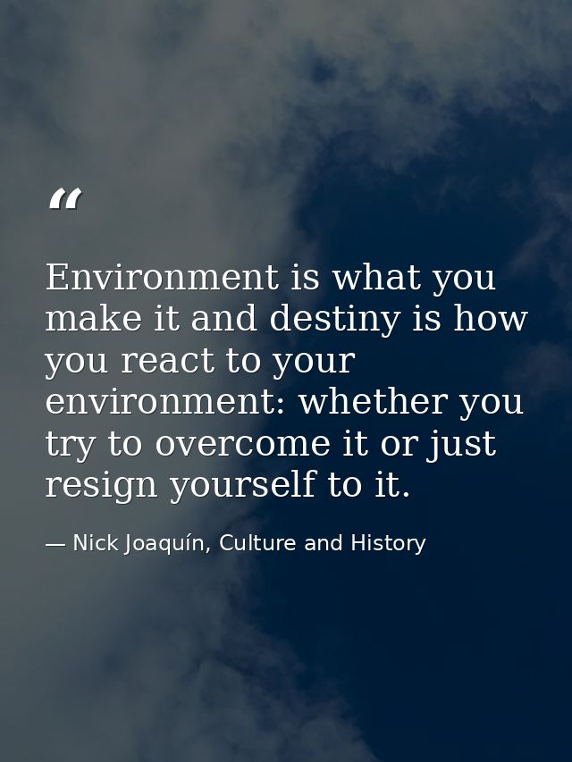 Environment is what you make it and destiny is how you react to your environment: whether you try to overcome it or just — Nick Joaquín, Culture and History