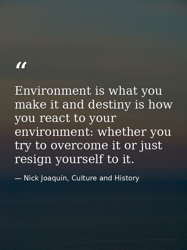 Environment is what you make it and destiny is how you react to your environment: whether you try to overcome it or just — Nick Joaquín, Culture and History