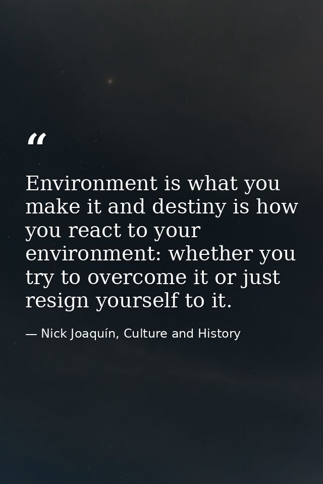 Environment is what you make it and destiny is how you react to your environment: whether you try to overcome it or just — Nick Joaquín, Culture and History