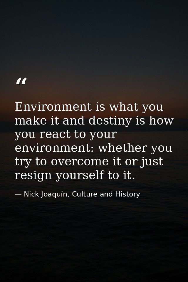 Environment is what you make it and destiny is how you react to your environment: whether you try to overcome it or just — Nick Joaquín, Culture and History
