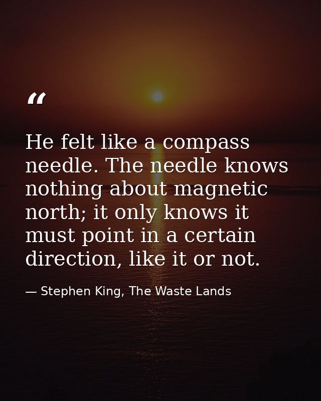He felt like a compass needle. The needle knows nothing about magnetic north; it only knows it must point in a certain d — Stephen King, The Waste Lands