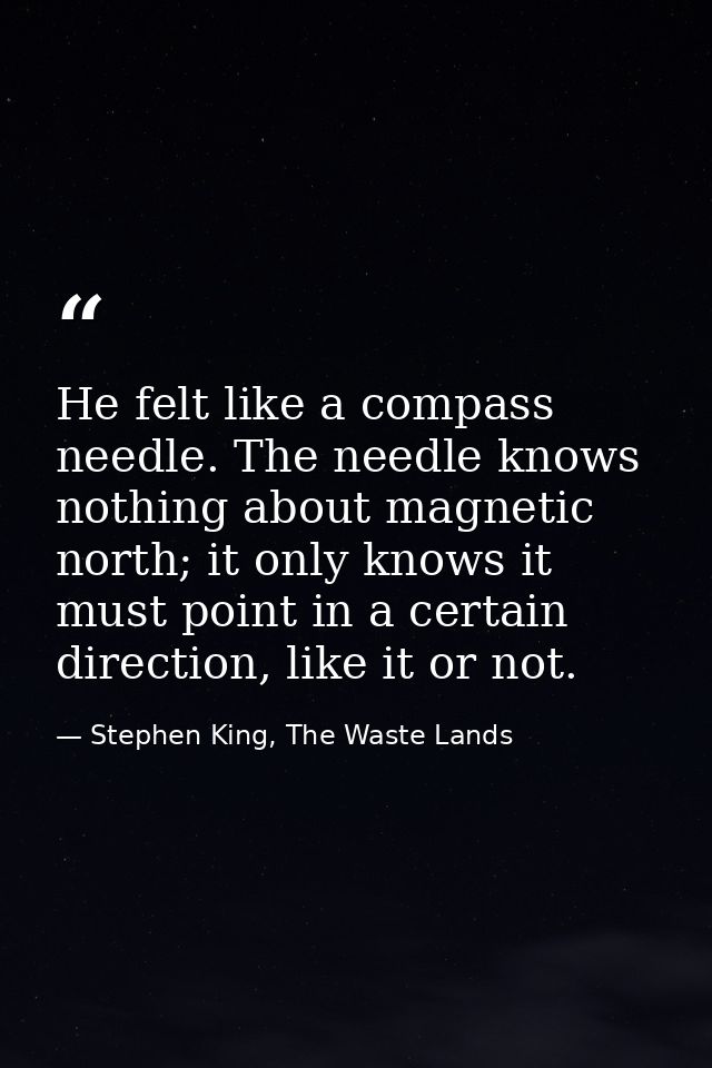 He felt like a compass needle. The needle knows nothing about magnetic north; it only knows it must point in a certain d — Stephen King, The Waste Lands