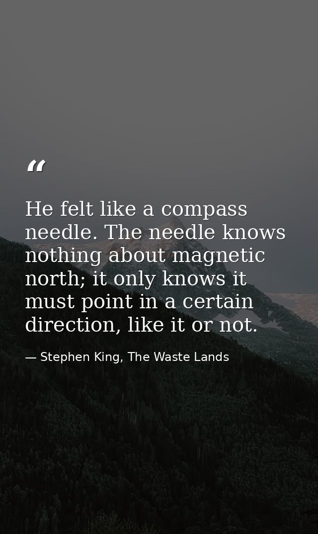 He felt like a compass needle. The needle knows nothing about magnetic north; it only knows it must point in a certain d — Stephen King, The Waste Lands