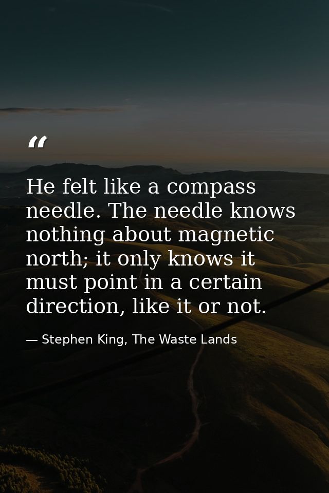 He felt like a compass needle. The needle knows nothing about magnetic north; it only knows it must point in a certain d — Stephen King, The Waste Lands