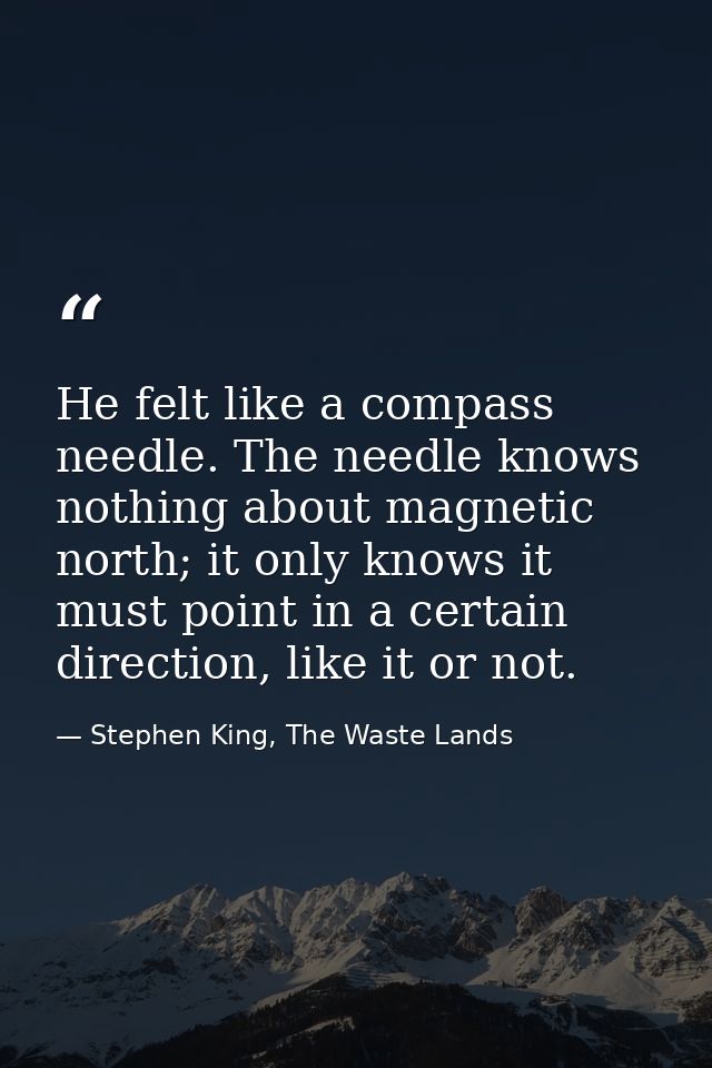He felt like a compass needle. The needle knows nothing about magnetic north; it only knows it must point in a certain d — Stephen King, The Waste Lands