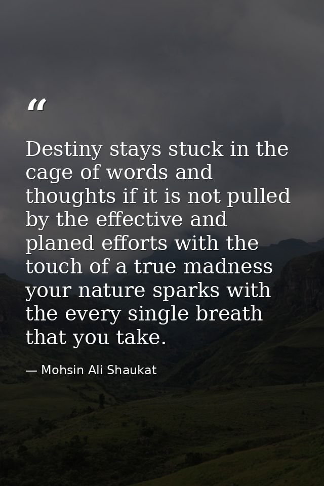 Destiny stays stuck in the cage of words and thoughts if it is not pulled by the effective and planed efforts with the t — Mohsin Ali Shaukat