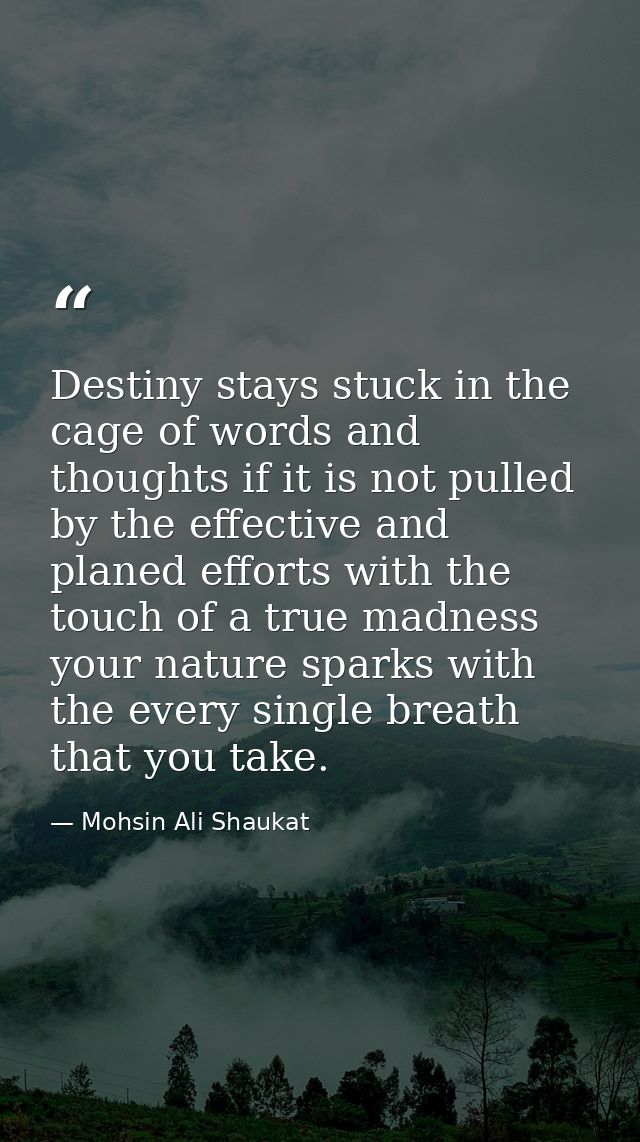Destiny stays stuck in the cage of words and thoughts if it is not pulled by the effective and planed efforts with the t — Mohsin Ali Shaukat
