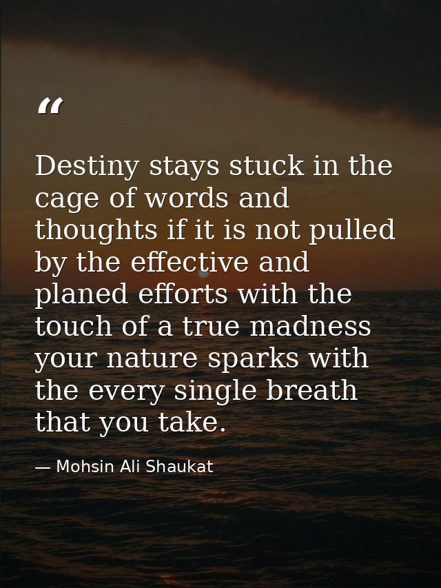 Destiny stays stuck in the cage of words and thoughts if it is not pulled by the effective and planed efforts with the t — Mohsin Ali Shaukat