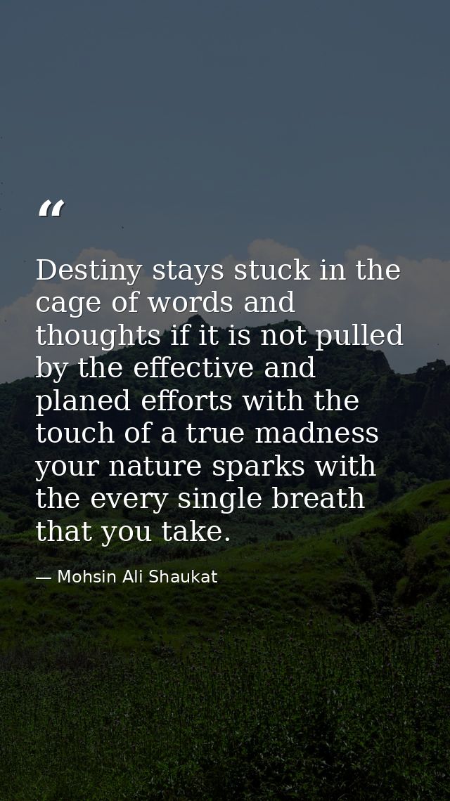 Destiny stays stuck in the cage of words and thoughts if it is not pulled by the effective and planed efforts with the t — Mohsin Ali Shaukat