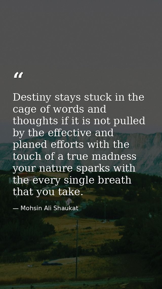 Destiny stays stuck in the cage of words and thoughts if it is not pulled by the effective and planed efforts with the t — Mohsin Ali Shaukat