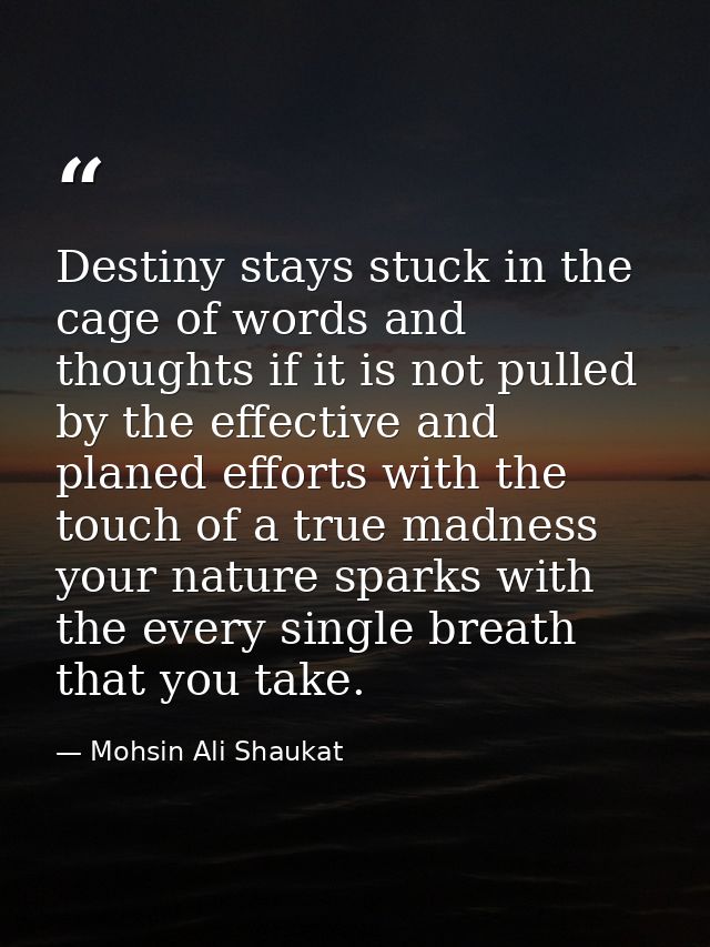 Destiny stays stuck in the cage of words and thoughts if it is not pulled by the effective and planed efforts with the t — Mohsin Ali Shaukat
