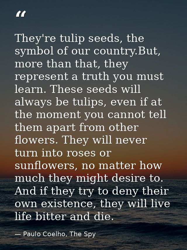 They're tulip seeds, the symbol of our country.But, more than that, they represent a truth you must learn. These seeds w — Paulo Coelho, The Spy