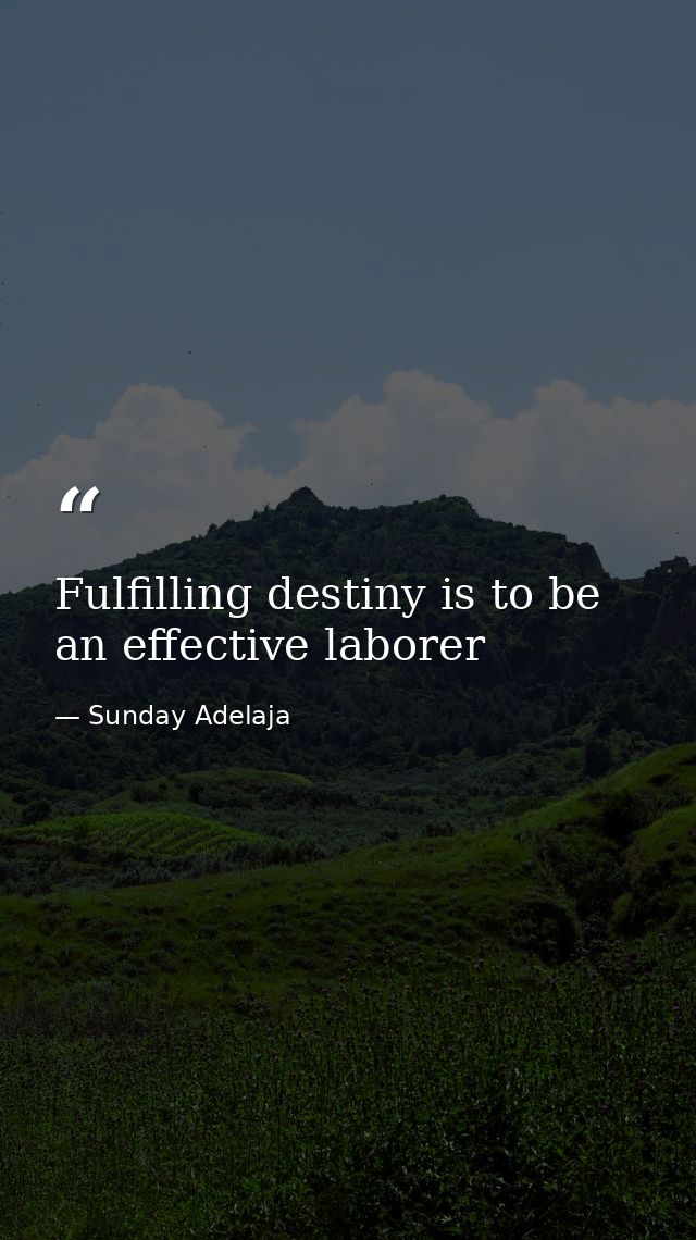 Fulfilling destiny is to be an effective laborer — Sunday Adelaja