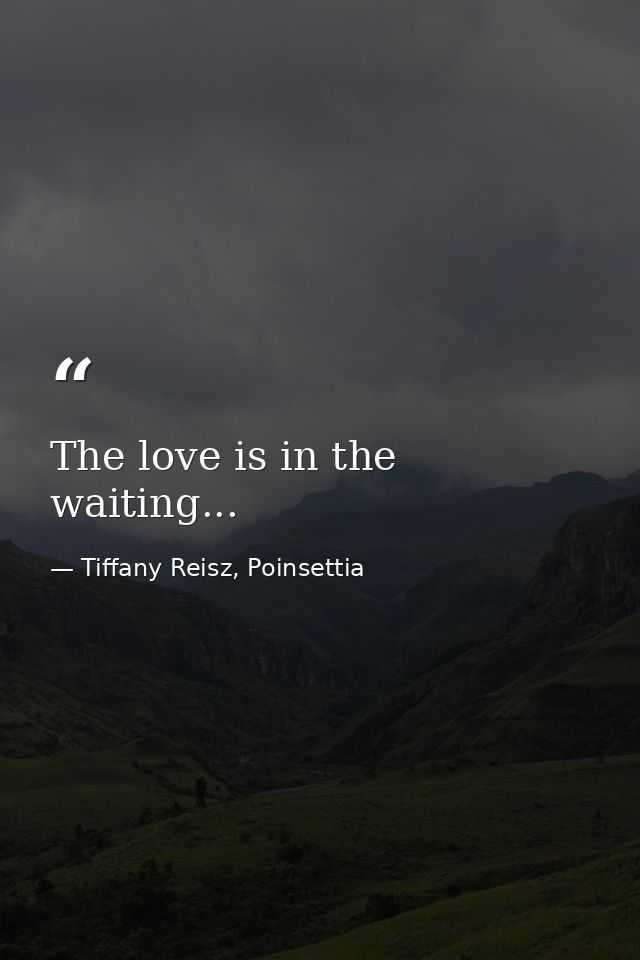 The love is in the waiting... — Tiffany Reisz, Poinsettia