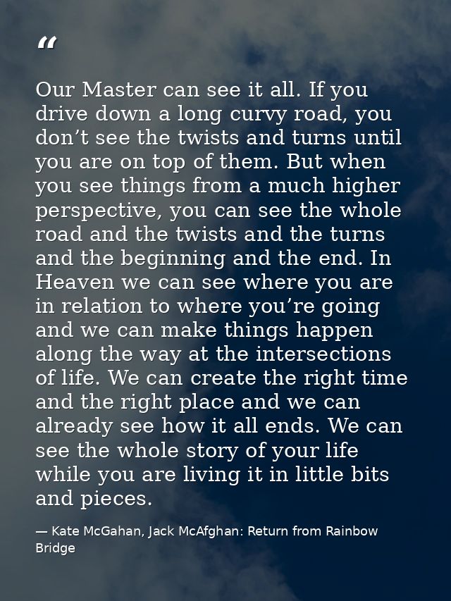 Our Master can see it all. If you drive down a long curvy road, you don’t see the twists and turns until you are on top  — Kate McGahan, Jack McAfghan: Return from Rainbow Bridge
