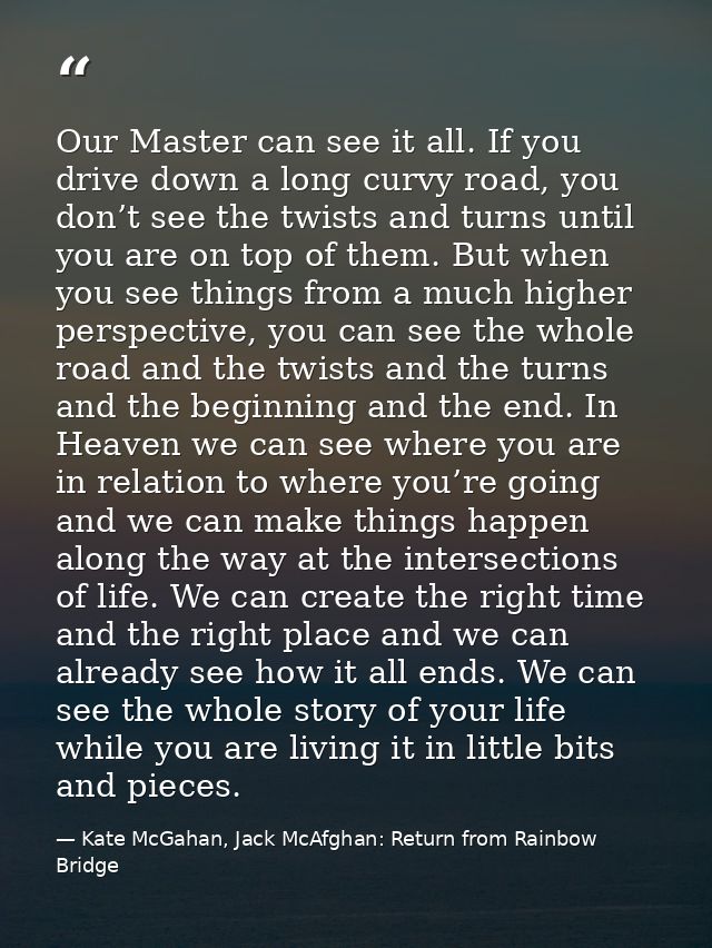 Our Master can see it all. If you drive down a long curvy road, you don’t see the twists and turns until you are on top  — Kate McGahan, Jack McAfghan: Return from Rainbow Bridge
