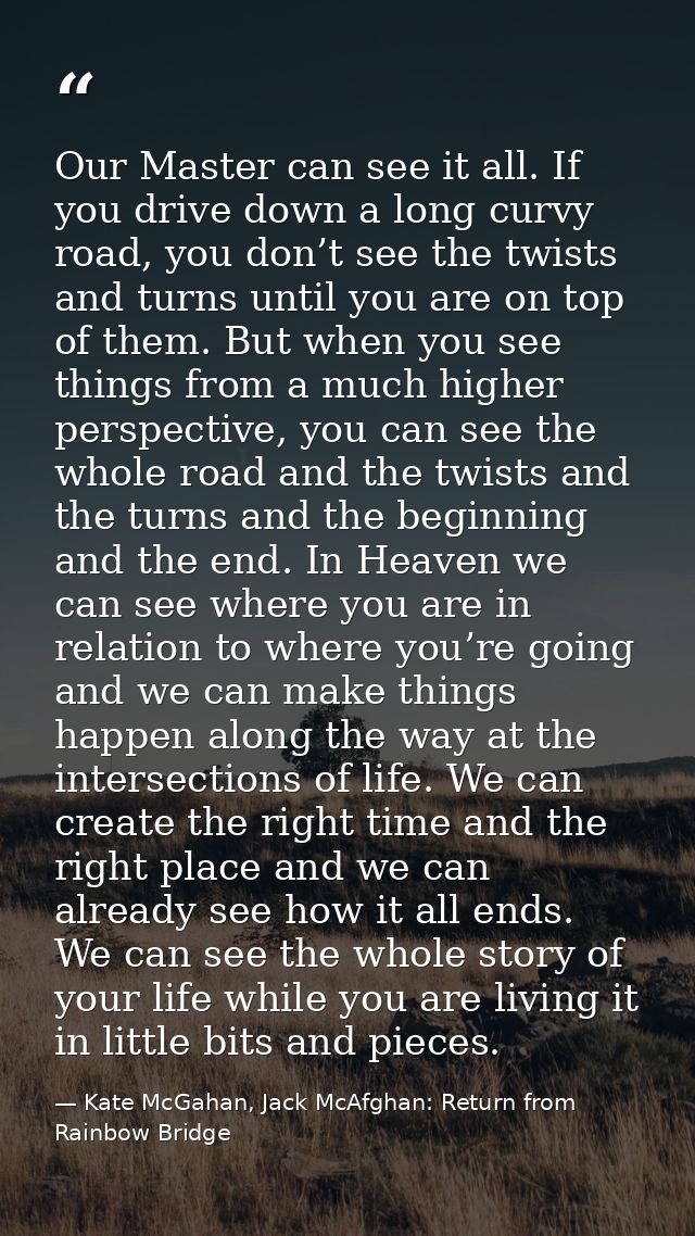 Our Master can see it all. If you drive down a long curvy road, you don’t see the twists and turns until you are on top  — Kate McGahan, Jack McAfghan: Return from Rainbow Bridge