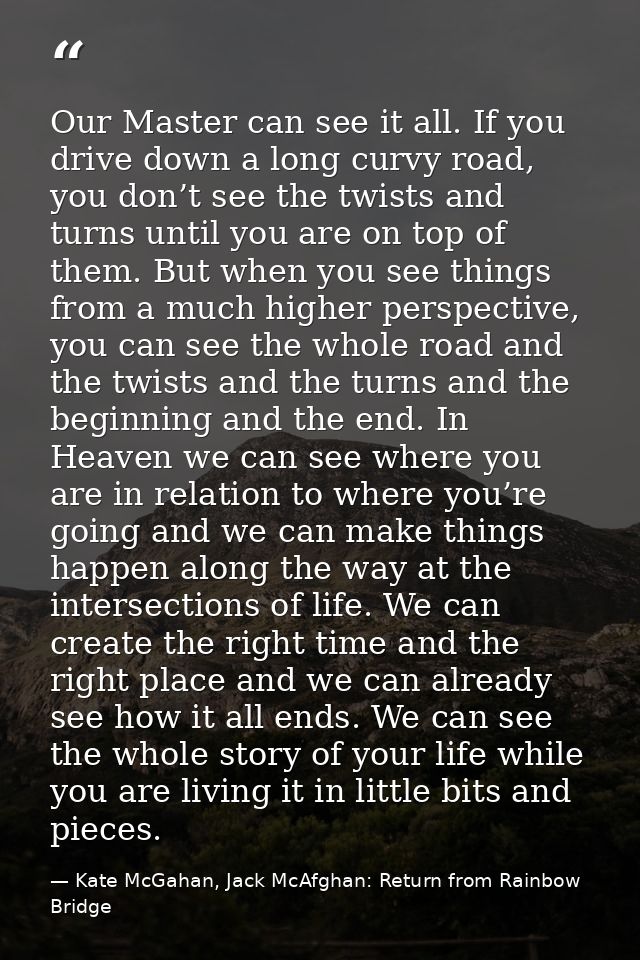 Our Master can see it all. If you drive down a long curvy road, you don’t see the twists and turns until you are on top  — Kate McGahan, Jack McAfghan: Return from Rainbow Bridge