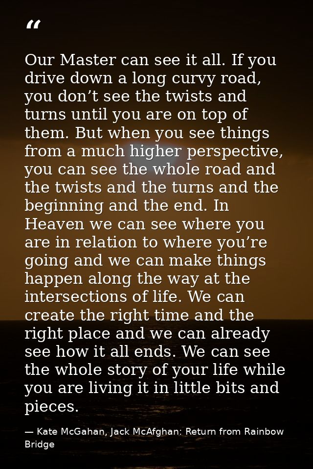 Our Master can see it all. If you drive down a long curvy road, you don’t see the twists and turns until you are on top  — Kate McGahan, Jack McAfghan: Return from Rainbow Bridge