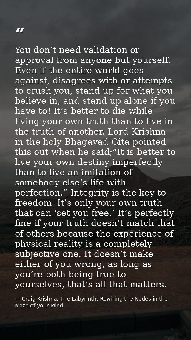 You don’t need validation or approval from anyone but yourself. Even if the entire world goes against, disagrees with or — Craig Krishna, The Labyrinth: Rewiring the Nodes in the Maze of your Mind