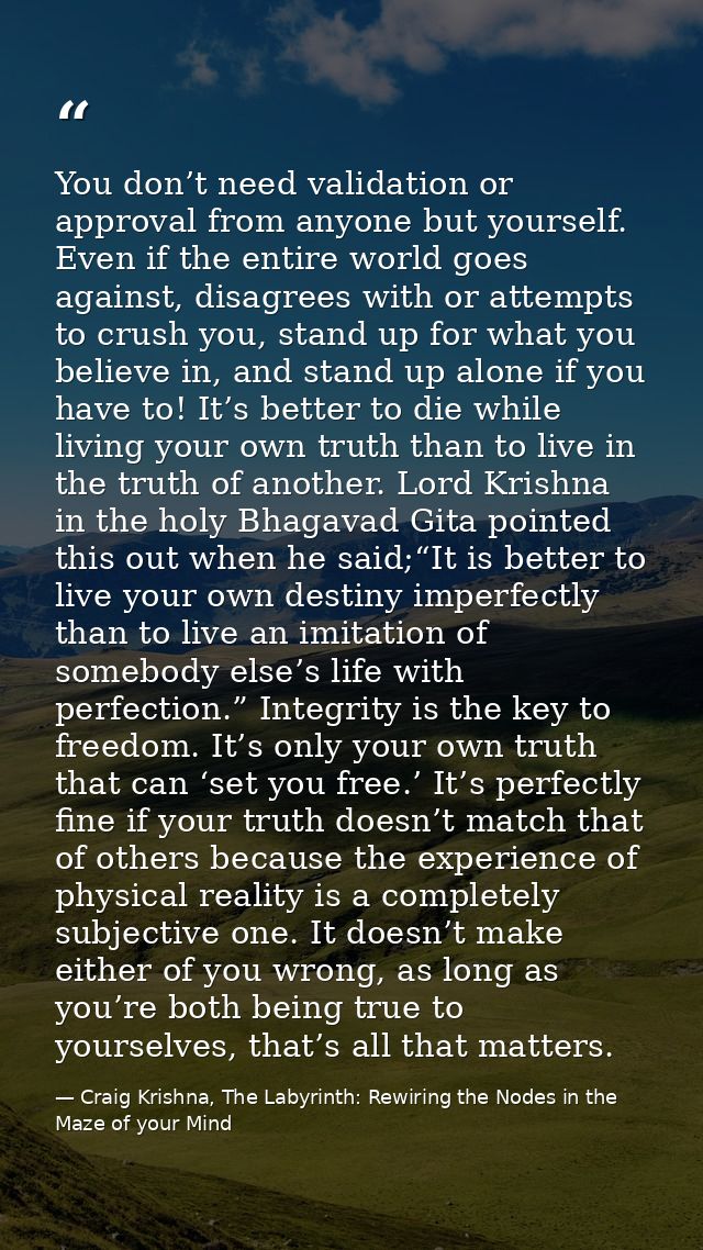 You don’t need validation or approval from anyone but yourself. Even if the entire world goes against, disagrees with or — Craig Krishna, The Labyrinth: Rewiring the Nodes in the Maze of your Mind