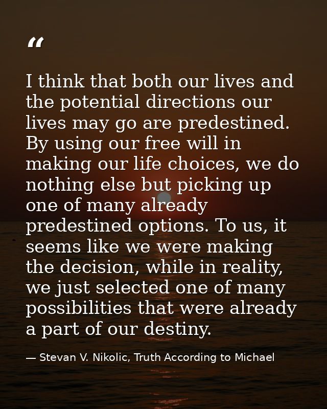 I think that both our lives and the potential directions our lives may go are predestined. By using our free will in mak — Stevan V. Nikolic, Truth According to Michael