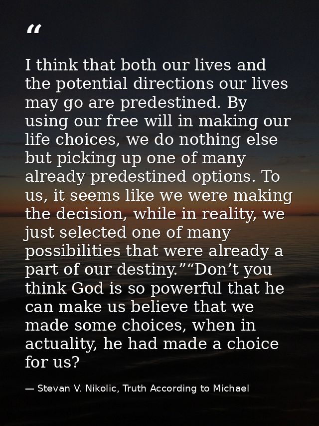 I thin​k​ that both our lives and the potential directions our lives may go are predestined. By using our free will in m — Stevan V. Nikolic, Truth According to Michael