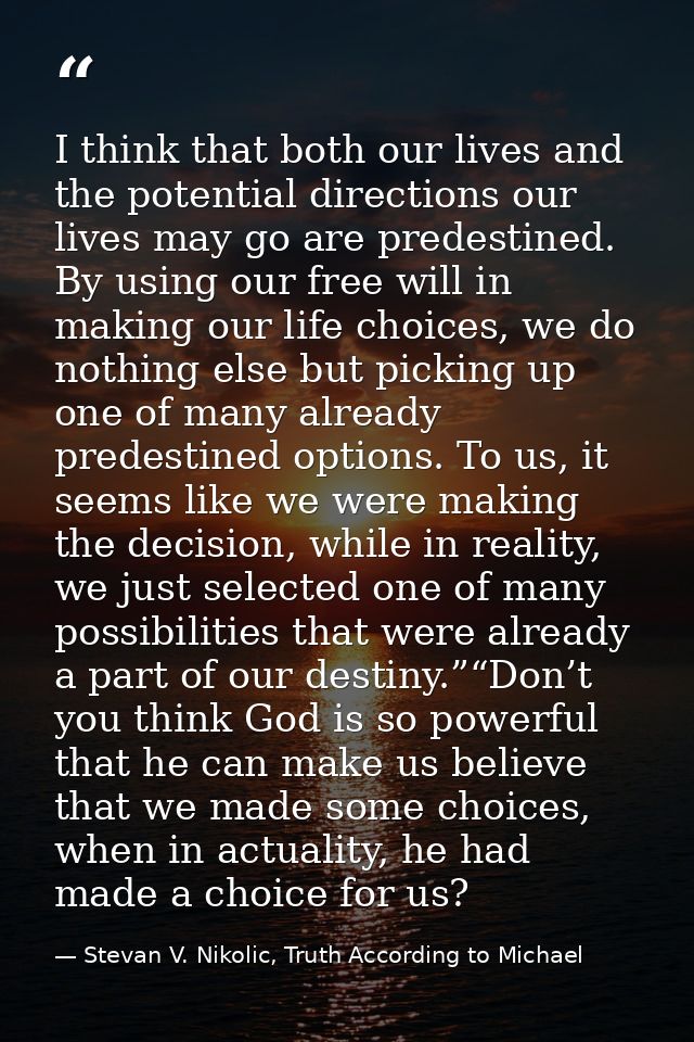 I thin​k​ that both our lives and the potential directions our lives may go are predestined. By using our free will in m — Stevan V. Nikolic, Truth According to Michael