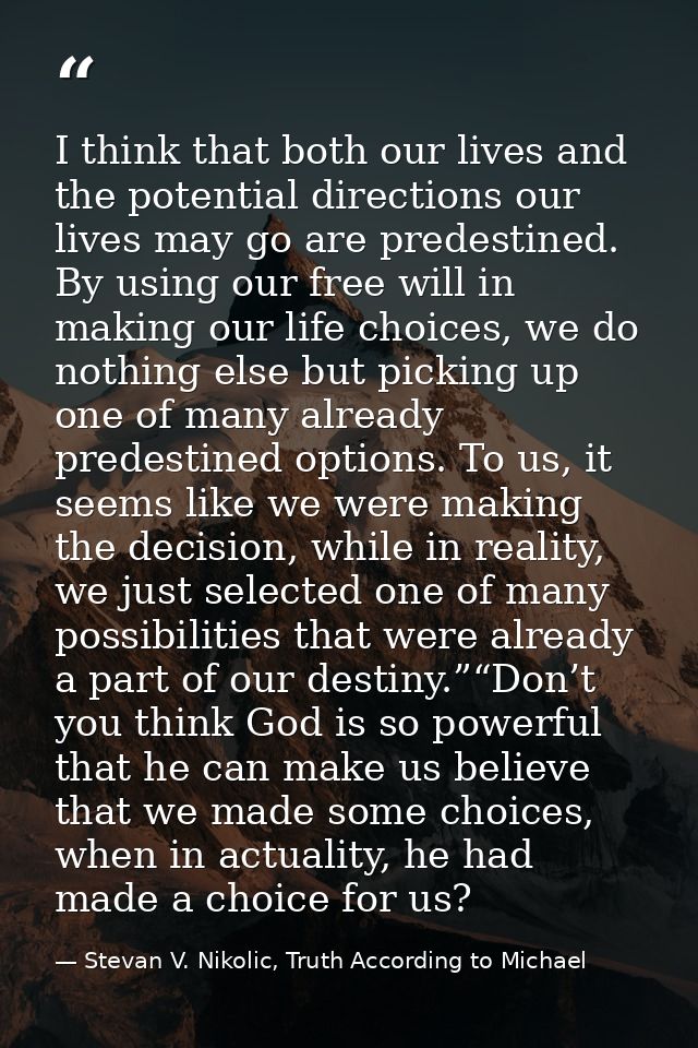 I thin​k​ that both our lives and the potential directions our lives may go are predestined. By using our free will in m — Stevan V. Nikolic, Truth According to Michael