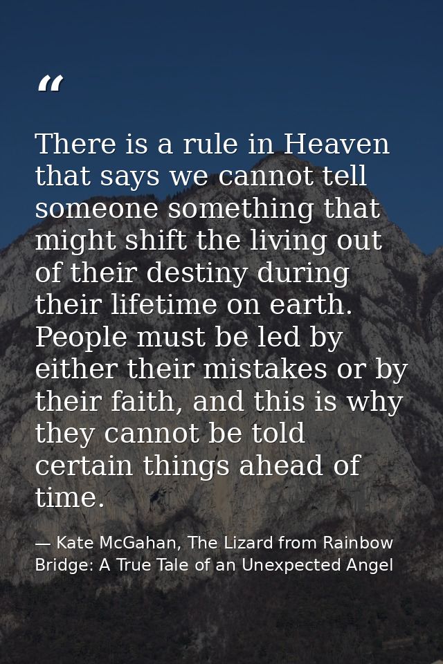 There is a rule in Heaven that says we cannot tell someone something that might shift the living out of their destiny du — Kate McGahan, The Lizard from Rainbow Bridge: A True Tale of an Unexpected Angel