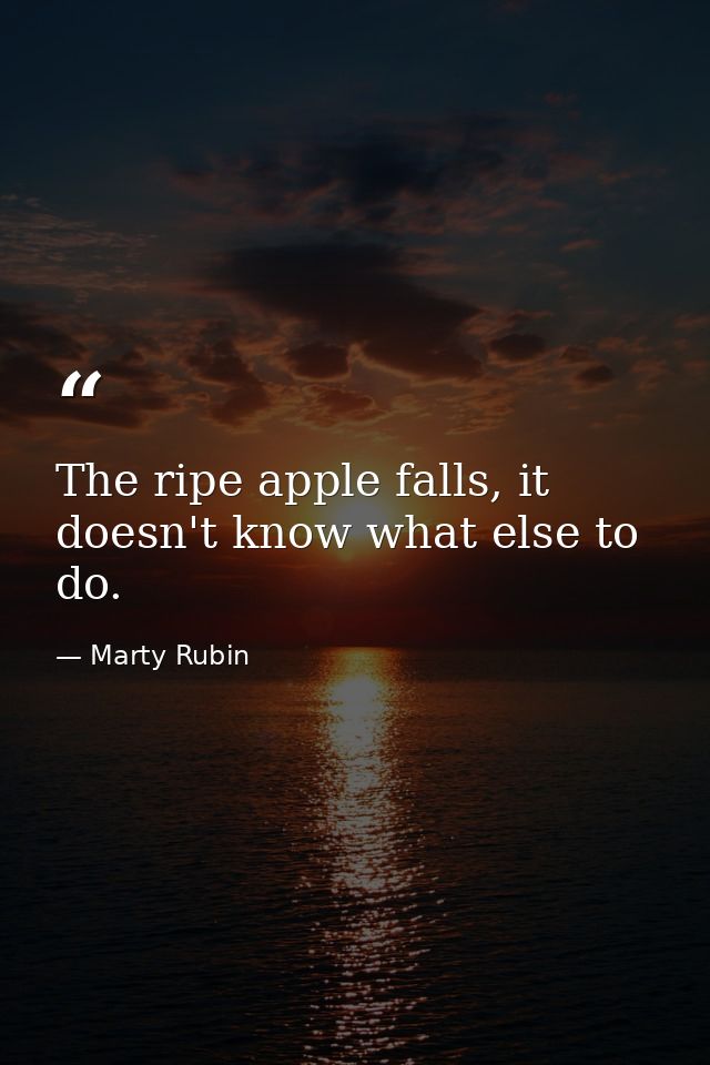 The ripe apple falls, it doesn't know what else to do. — Marty Rubin