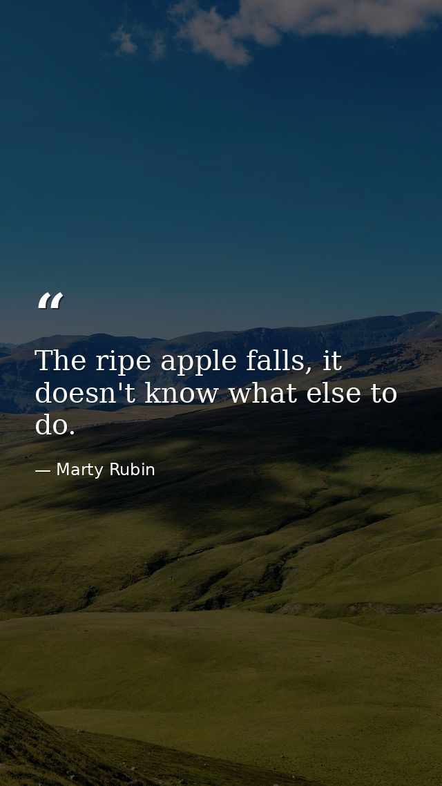 The ripe apple falls, it doesn't know what else to do. — Marty Rubin