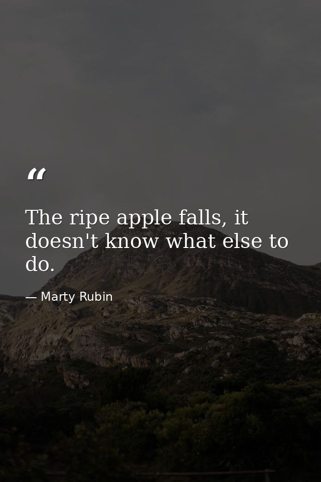 The ripe apple falls, it doesn't know what else to do. — Marty Rubin
