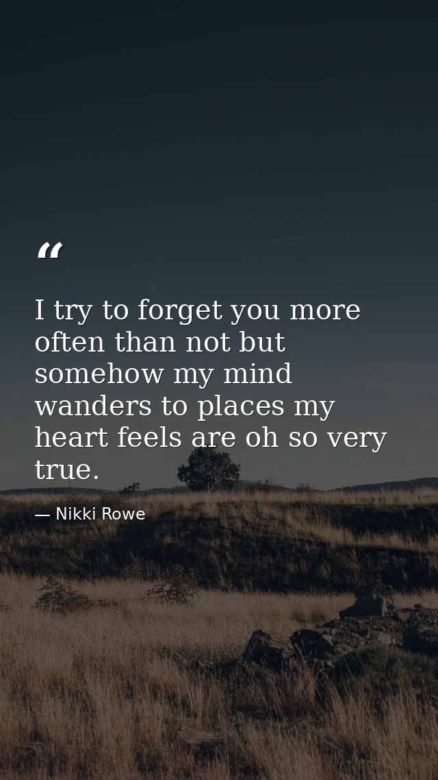 I try to forget you more often than not but somehow my mind wanders to places my heart feels are oh so very true. — Nikki Rowe