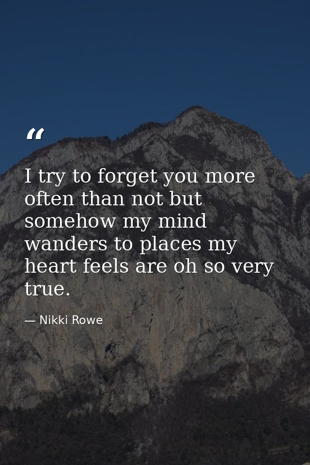 I try to forget you more often than not but somehow my mind wanders to places my heart feels are oh so very true. — Nikki Rowe